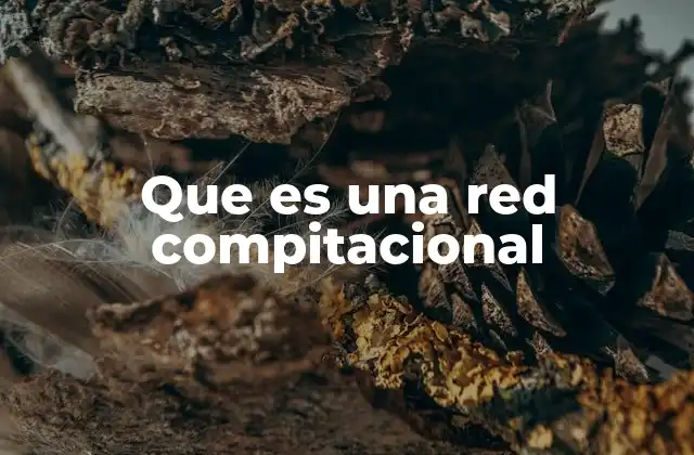 La importancia de las redes en la era digital