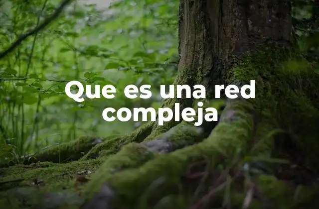 Que es una Red Compleja
