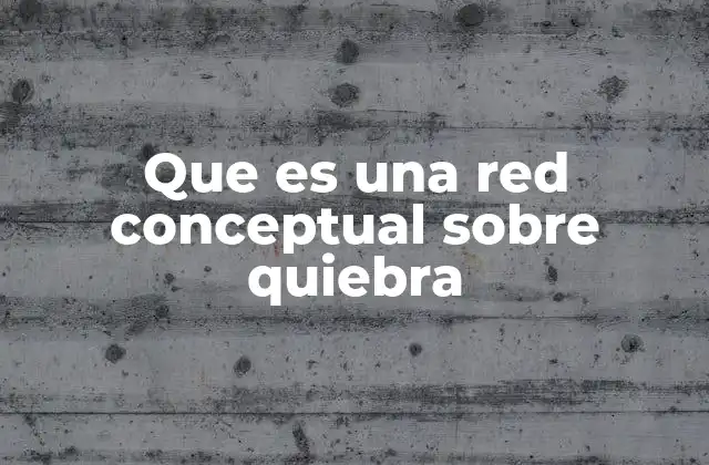 Que es una Red Conceptual sobre Quiebra