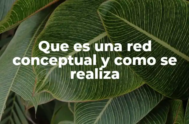 Que es una Red Conceptual y como Se Realiza