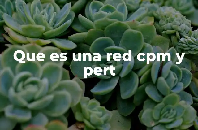 Que es una Red Cpm y Pert