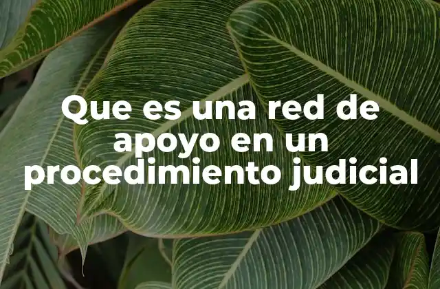 Que es una Red de Apoyo en un Procedimiento Judicial