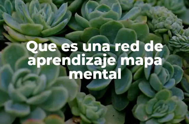Que es una Red de Aprendizaje Mapa Mental