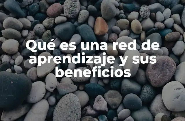 Qué es una Red de Aprendizaje y Sus Beneficios
