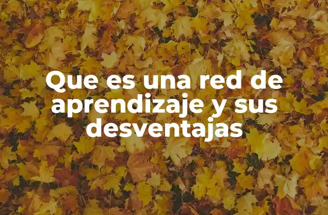 Que es una Red de Aprendizaje y Sus Desventajas