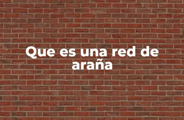 Que es una Red de Araña
