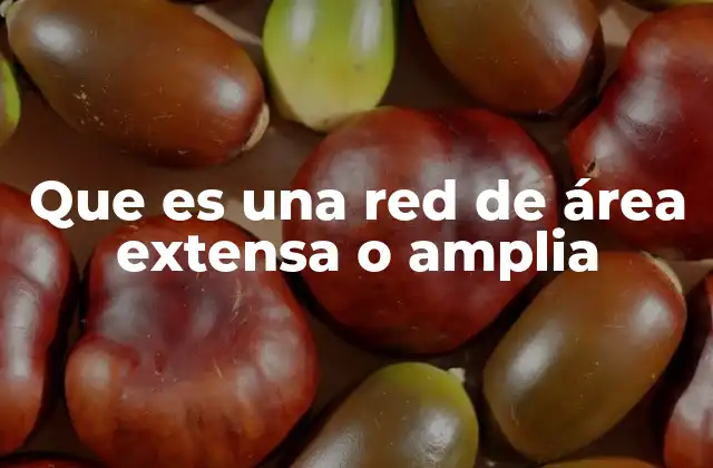 Que es una Red de Área Extensa o Amplia