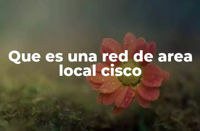 Que es una Red de Area Local Cisco