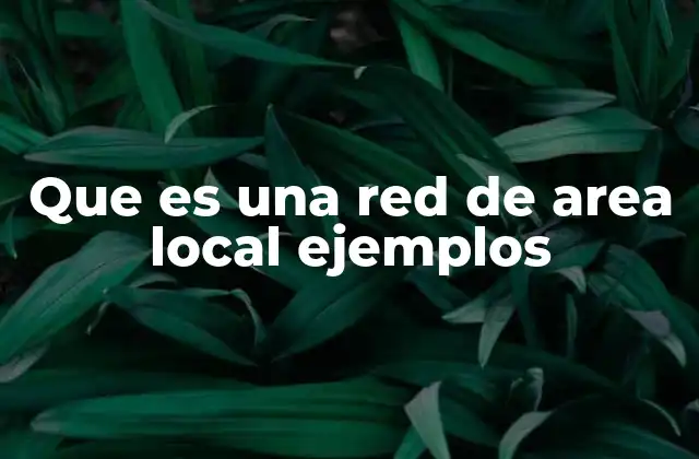 Que es una Red de Area Local Ejemplos
