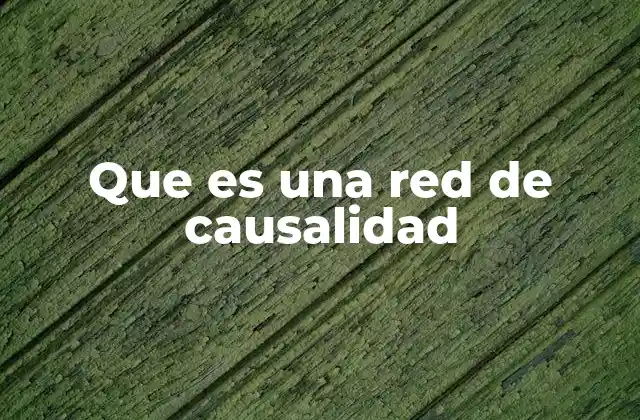 Que es una Red de Causalidad