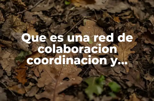 Que es una Red de Colaboracion Coordinacion y Vinculacion