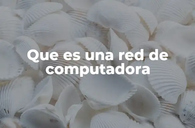 Que es una Red de Computadora