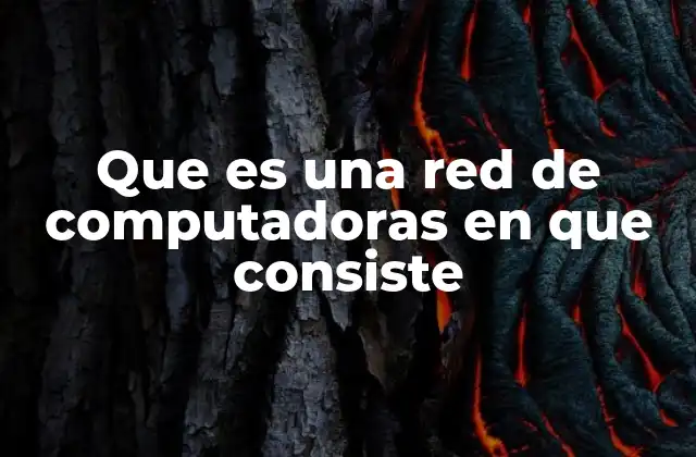 Que es una Red de Computadoras en que Consiste