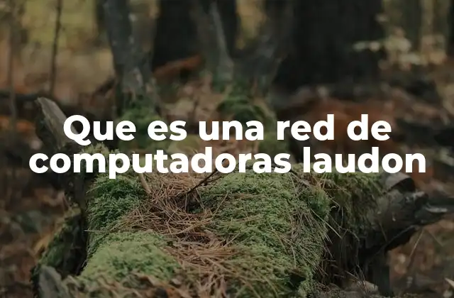 Que es una Red de Computadoras Laudon