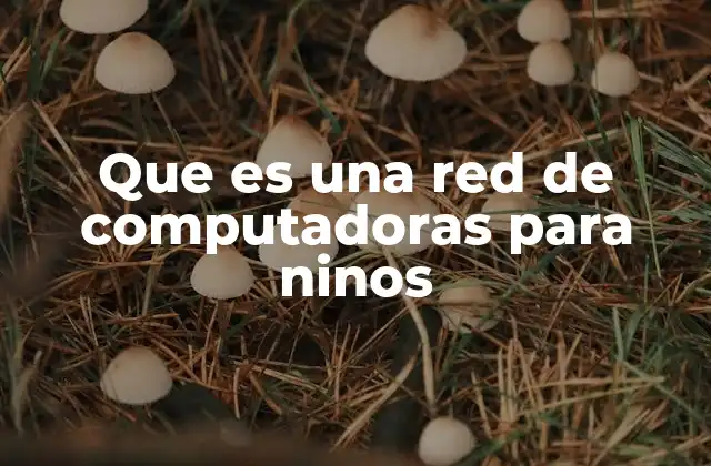 Que es una Red de Computadoras para Ninos