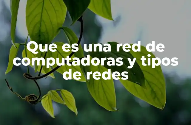 Que es una Red de Computadoras y Tipos de Redes