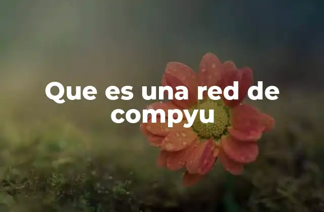 Que es una Red de Compyu