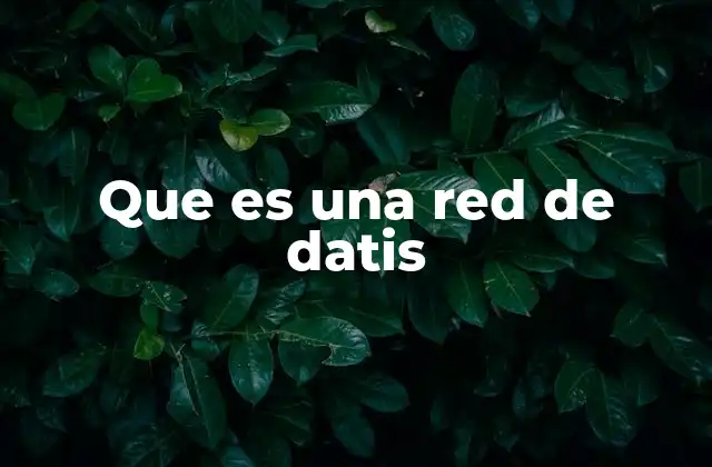 Que es una Red de Datis