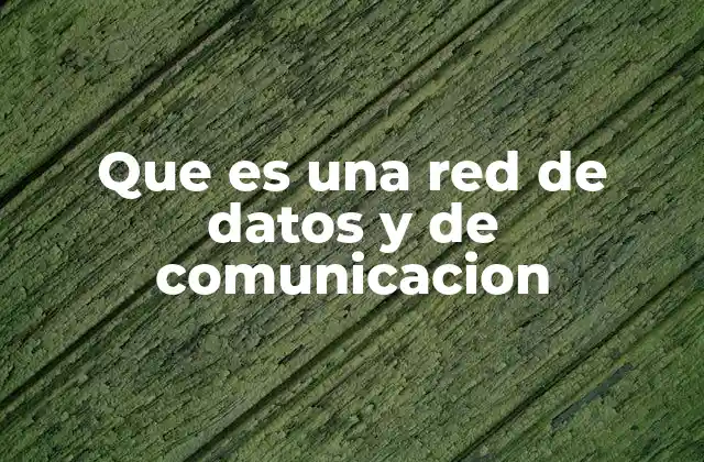 Que es una Red de Datos y de Comunicacion