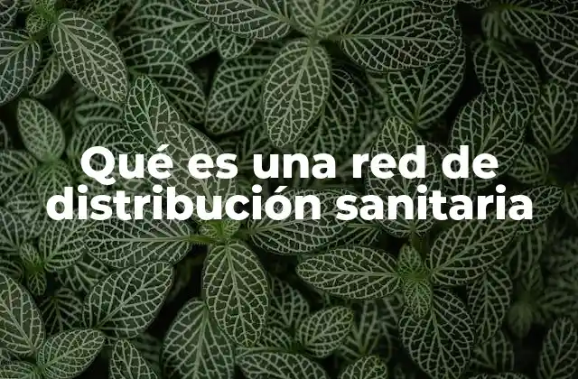 Qué es una Red de Distribución Sanitaria