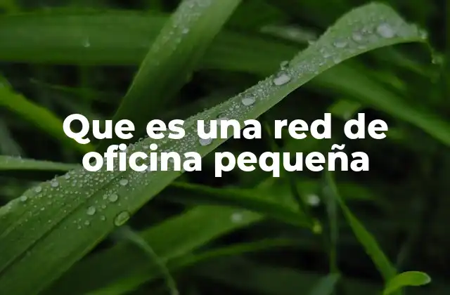 Que es una Red de Oficina Pequeña