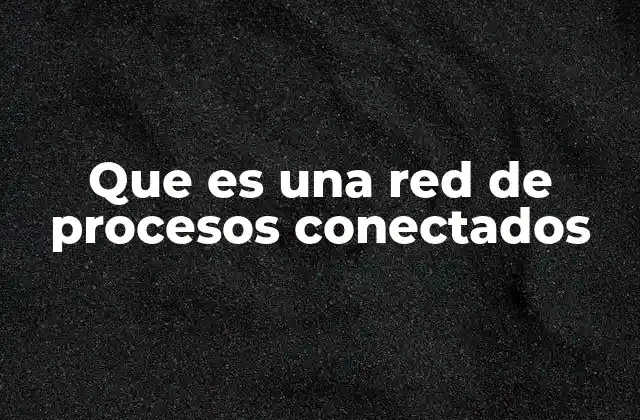 Que es una Red de Procesos Conectados