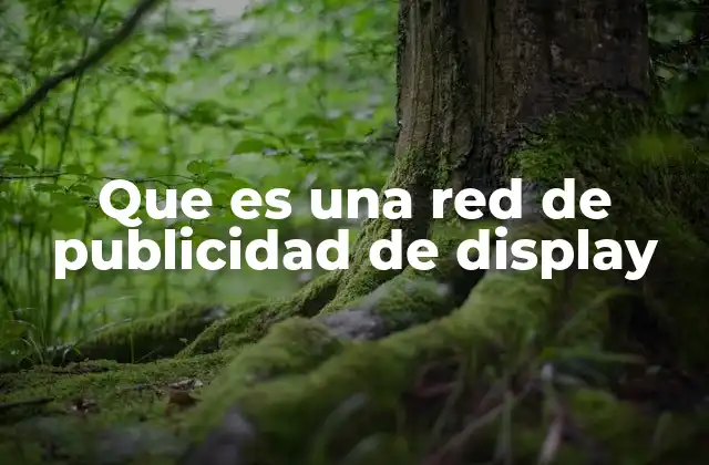 Que es una Red de Publicidad de Display 2 Cómo funcionan las redes de publicidad de display