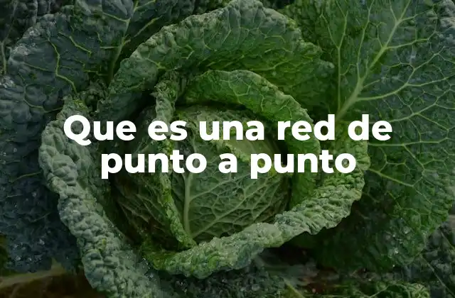 Que es una Red de Punto a Punto