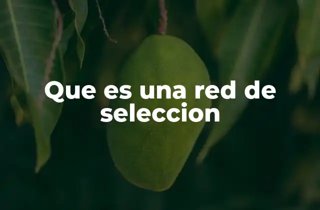 Que es una Red de Seleccion