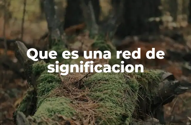 Que es una Red de Significacion 2 La importancia de las conexiones semánticas