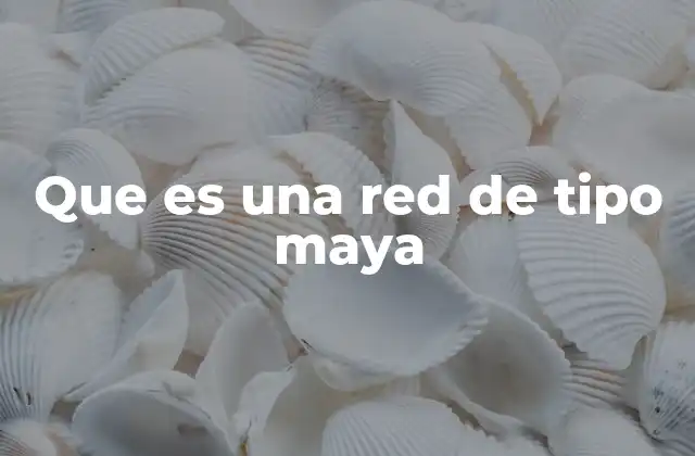 Que es una Red de Tipo Maya