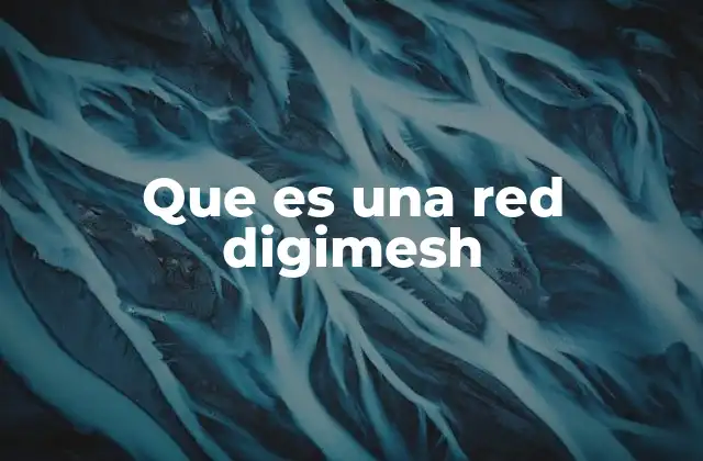 Que es una Red Digimesh