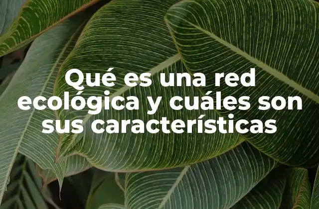Qué es una Red Ecológica y Cuáles Son Sus Características