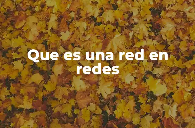 Que es una Red en Redes