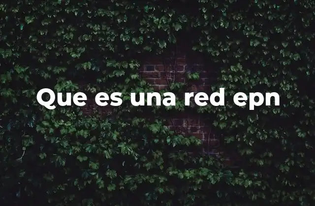 Que es una Red Epn