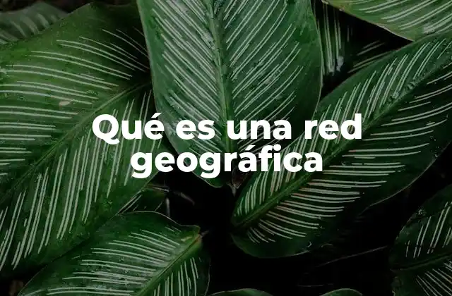 Qué es una Red Geográfica