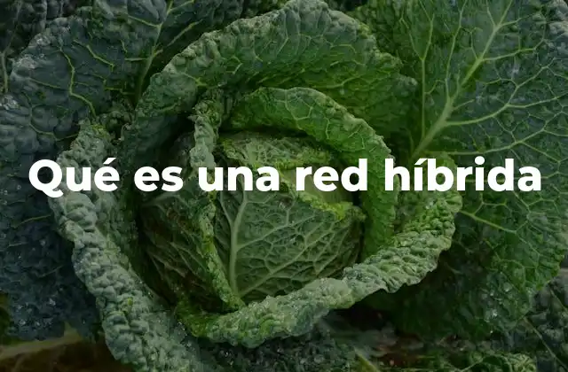 Qué es una Red Híbrida