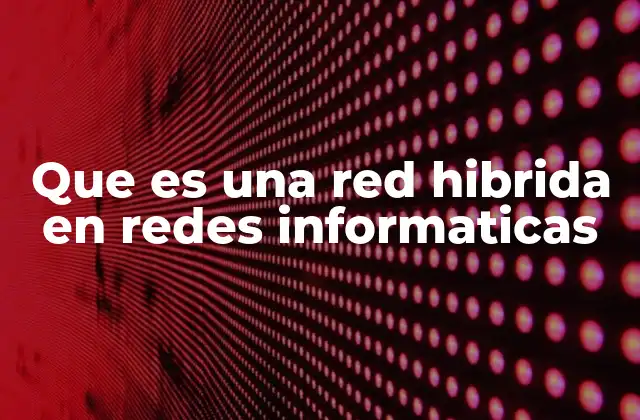 Que es una Red Hibrida en Redes Informaticas