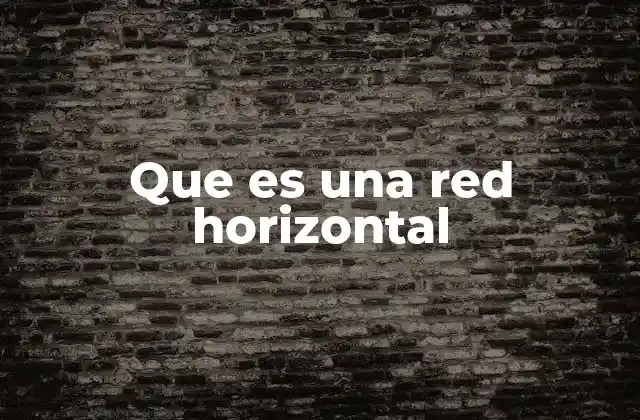 Que es una Red Horizontal
