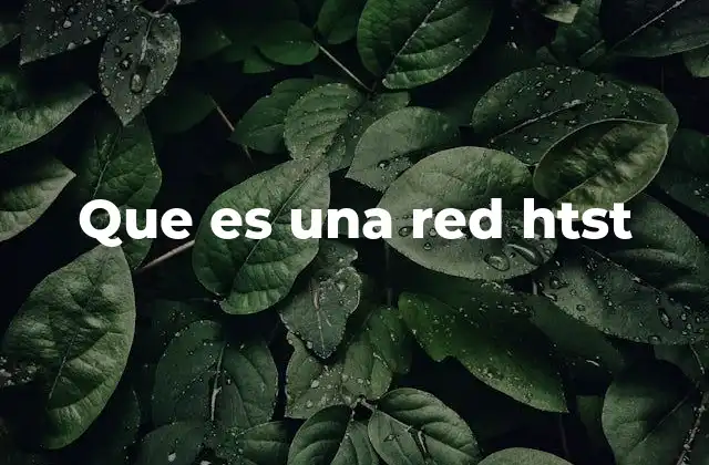 Que es una Red Htst