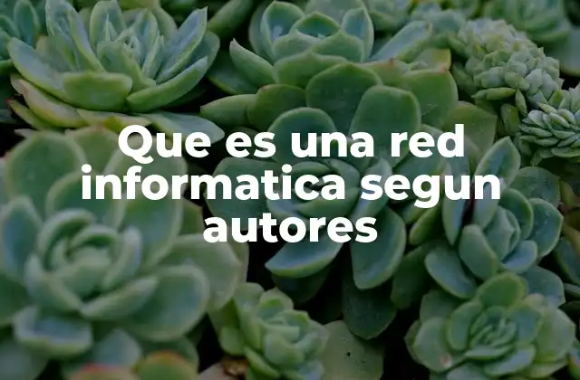 Que es una Red Informatica Segun Autores