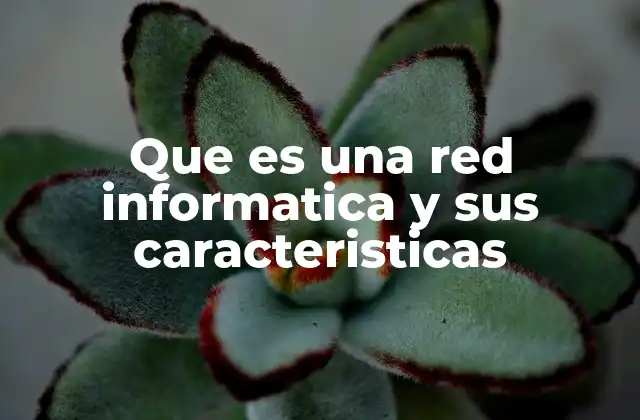 Que es una Red Informatica y Sus Caracteristicas