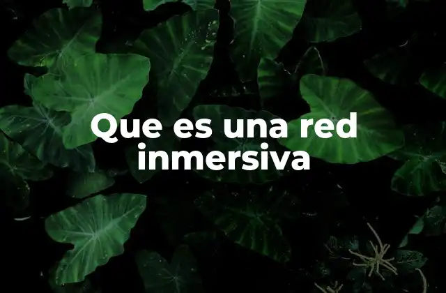 Que es una Red Inmersiva