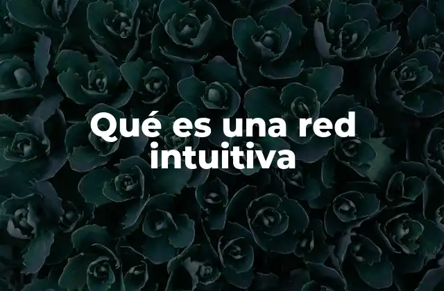 Qué es una Red Intuitiva