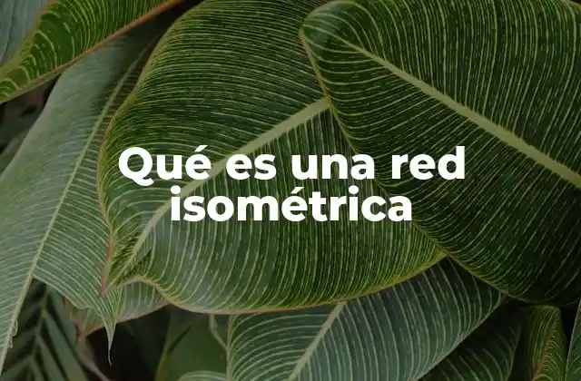 Qué es una Red Isométrica
