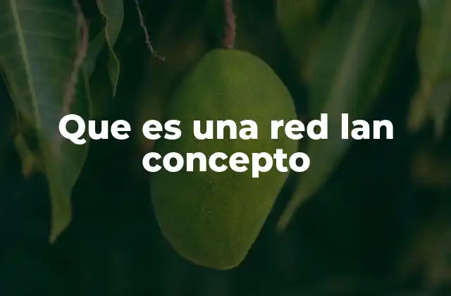 Que es una Red Lan Concepto