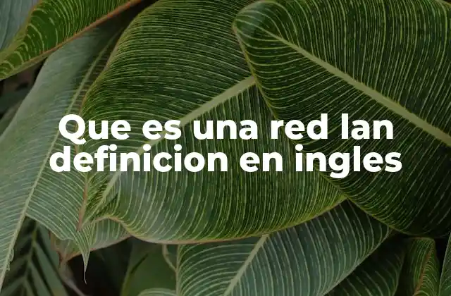 Cómo funciona una red LAN y su estructura básica