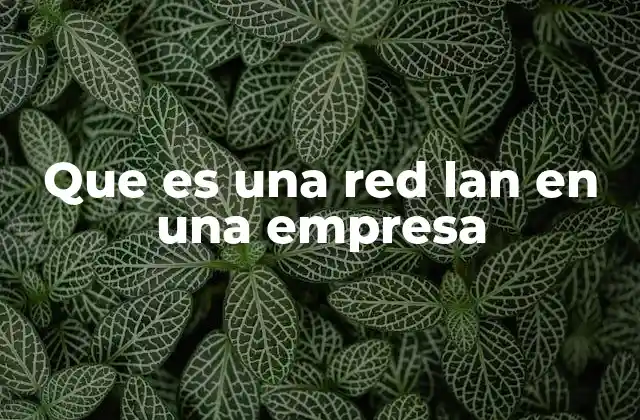 Que es una Red Lan en una Empresa