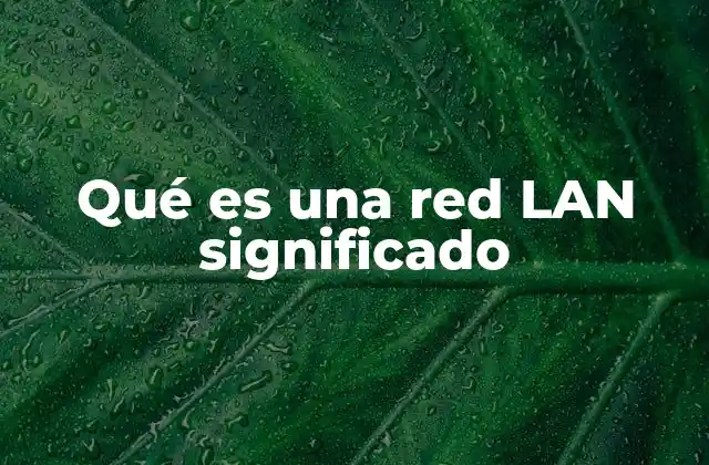 Qué es una Red Lan Significado