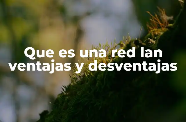 Que es una Red Lan Ventajas y Desventajas